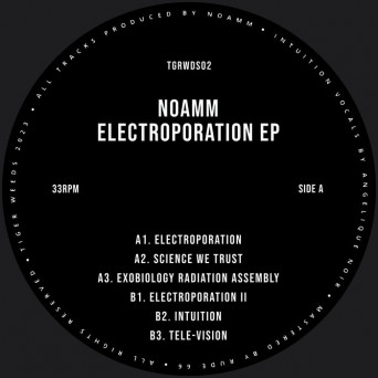 Noamm – Electroporation EP