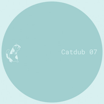 Unknown Artist – Catdub 07