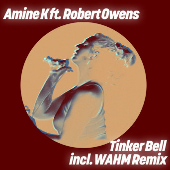 Robert Owens & Amine K (Moroko Loko) – Tinker Bell