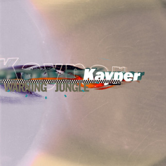 Kayper – Warning _ Jungle