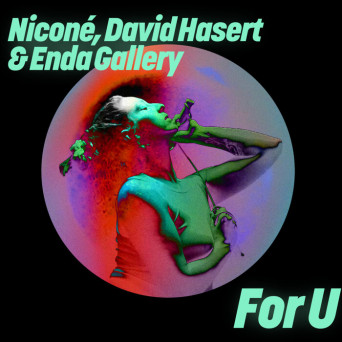 Nicone, David Hasert & Enda Gallery – For U