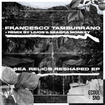 Francesco Tamburrano – Sea Relics Reshaped