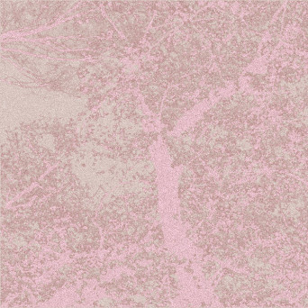 Jung/King – Sakura Reinterpretations- Sakura Reinterpretations