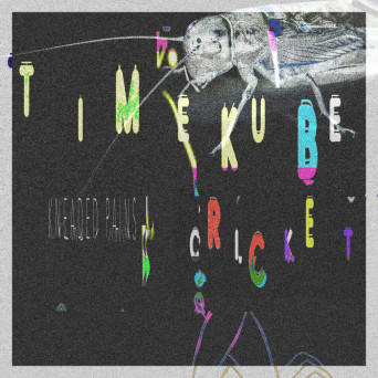 TimeKube – Cricket