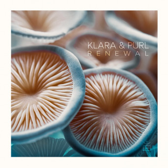 Klara, Purl – Renewal