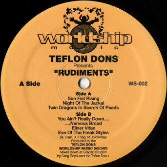 Teflon Dons – Rudiments [VINYL]