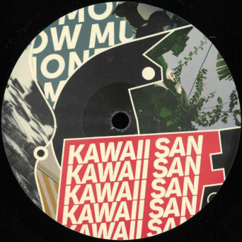 Kawaii San – Covert Operation [VINYL]