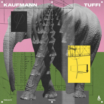 Kaufmann (DE) – Tuffi