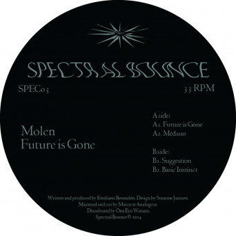 Molen – Future is Gone