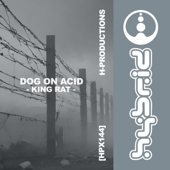 Dog on acid – King Rat