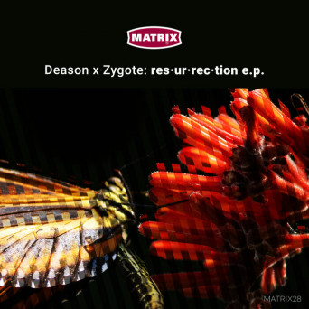 Sean Deason & Zygote – Resurrection EP