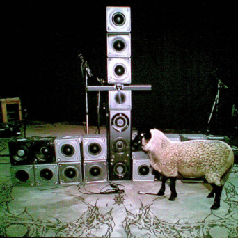 Ilya Gadaev, Rlgn & Any Act – SHEEPSTEP