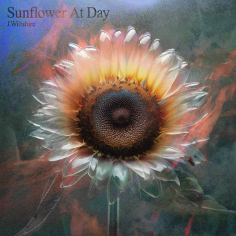 J.Wiltshire – Sunflower At Day