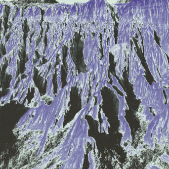 zxzx – Continuum
