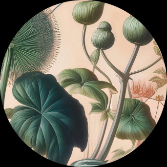 Alejandro Mosso – mosso011