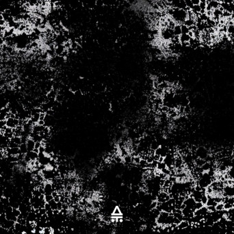 BOES – Paranoia