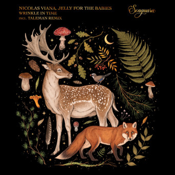 Jelly For The Babies & Nicolas Viana – Wrinkle in Time