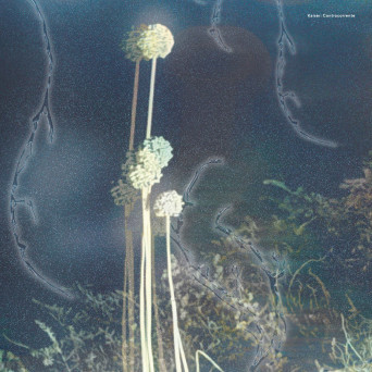 Kaiser (K S R) – Controcorrente