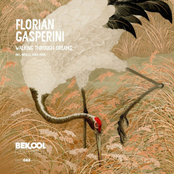 Florian Gasperini – Walking Through Dreams