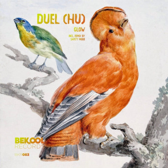 Duel (HU) – Glow