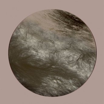 Ness – Flesh Of The Gods Remixes