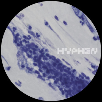 Vauna – Hydrate