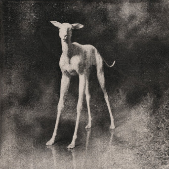 [krtm] – SSSPCRLTD011