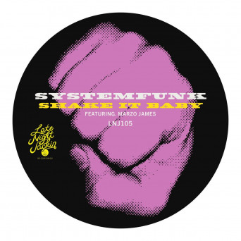 Systemfunk – Shake It Baby (feat. Marzo James)