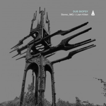 Stereo_IMG & Liam Killen – Dub Biopsy