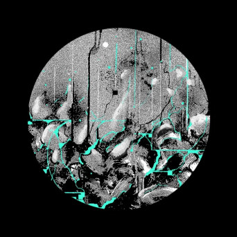 Diazepin – Binary Cake