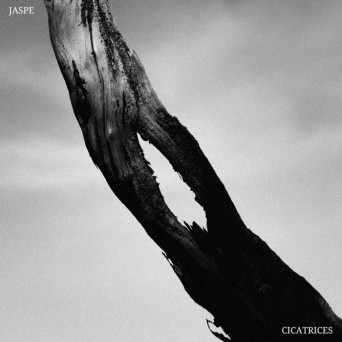 Jaspe – Cicatrices