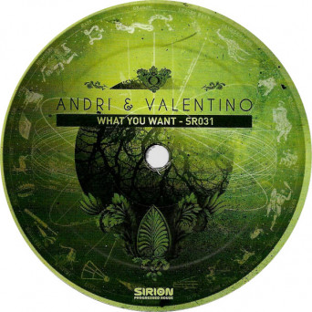 Andri, Valentino (CH) – What You Want [VINYL]