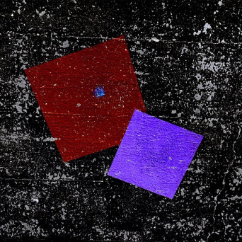 Paons – Eyes of the Weaver