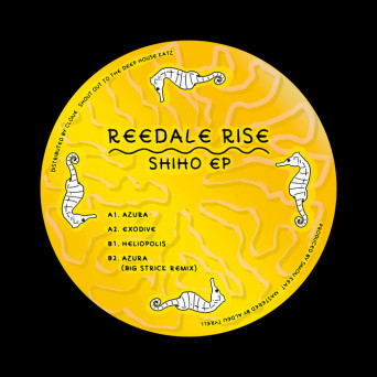Reedale Rise – Shiho EP