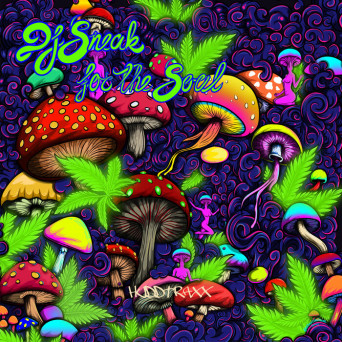 DJ Sneak – For The Soul, Vol. 1