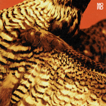 Amorphic & Tensal – Highland Frequencies