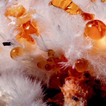 Roi – Fides Et Ratio EP