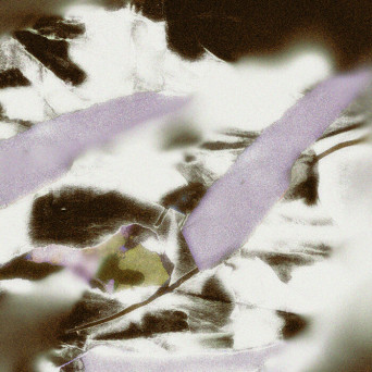 Portway – Supercharger