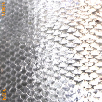 Keira Meier – Ikigai