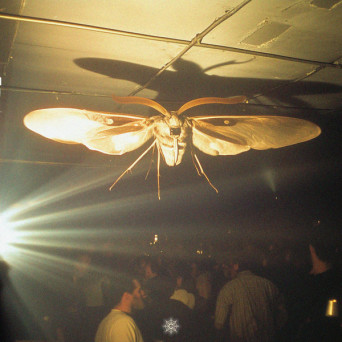 Harry Light – Bring Me Home