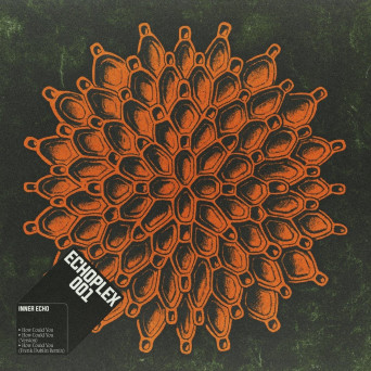 Inner Echo – How Could You