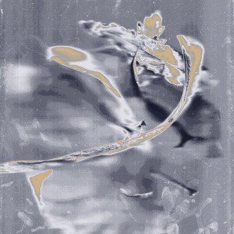 Olson – Temporal Glare