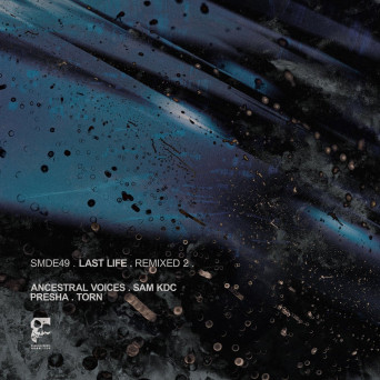 Last Life – Remixed: 2