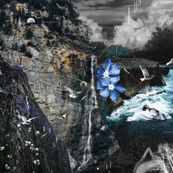 THISISTHX – Finite Species