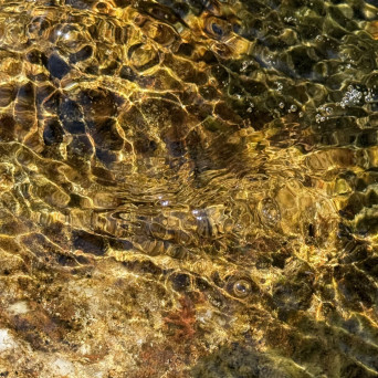 Baltra – Keep Coming Back