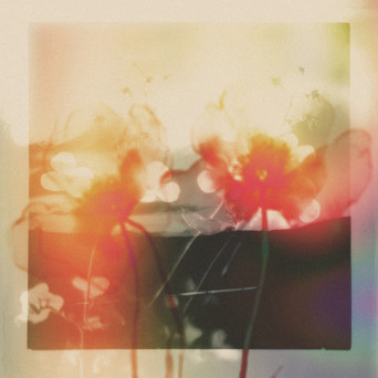 gyrofield – Akin / Mother