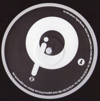 Terry Francis – Strong Woman [VINYL]