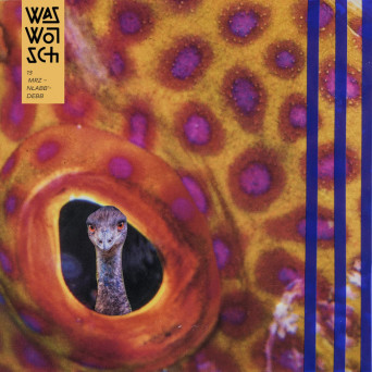 MRZ – Nłabb’debb