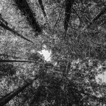 Hot Wave – Night Owl