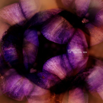 82J6 – The Shallow Man